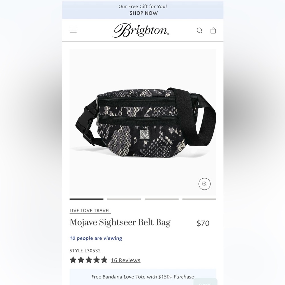 Chic Brighton Mojave Sightseer Belt Bag - Picture 6 of 9